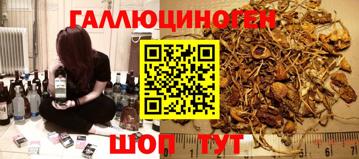 Галлюциногенные грибы мухоморы  Вход с VPN  Саянск 