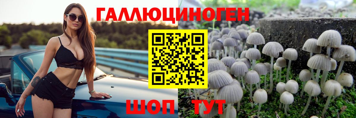 Галлюциногенные грибы GOLDEN TEACHER Саянск